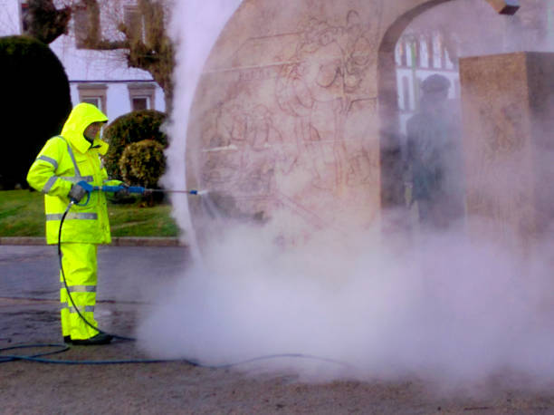 Best House Pressure Washing  in Earlington, KY